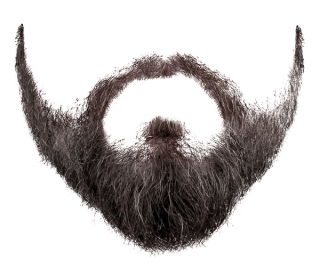 Details 100 transparent background beard png