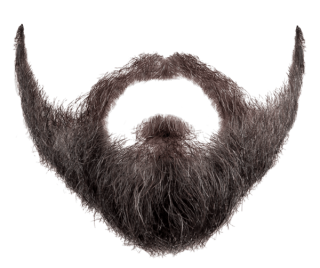 Beard Png Pic PNG images