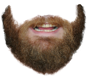 Beard Png Picture PNG images