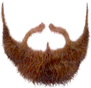 Brown Nice Beard Png PNG images