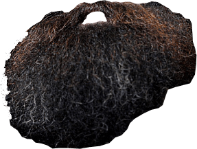 Bushy Beard Png Picture PNG images