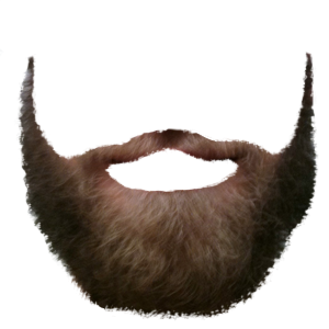 Mustache Beard Png PNG images