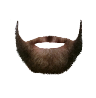 Short Beard Png PNG images