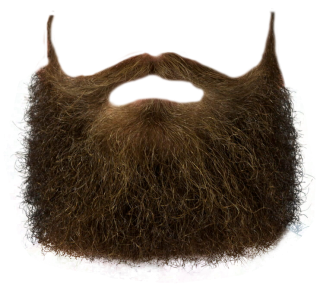 Simple Beard Png PNG images