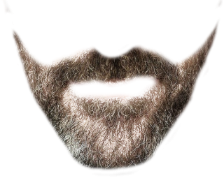 Transparent Beard Image PNG images