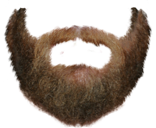 Transparent Beard Png PNG images