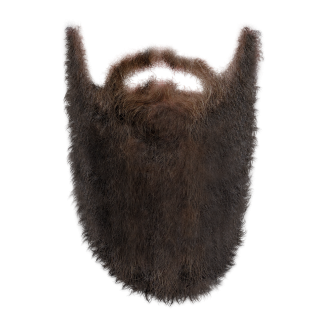 Transparent Long Beard PNG images