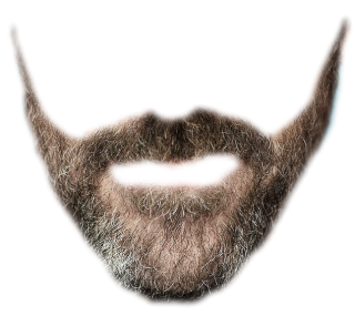 Whiskers And Beard Png PNG images