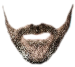 Download Daring Beard - Face Roblox Png Cool PNG Image with No Background 