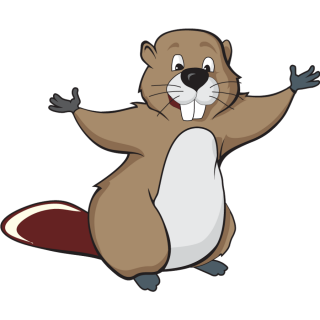  Cute Animal Beaver Pictures PNG images