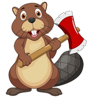 Red-ax Beaver Photos PNG images