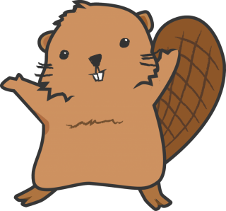 Baby Beaver Picture Images PNG images