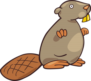 Beige Color Chubby Beaver Photo PNG images
