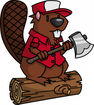 Funny Beaver Transparent Image PNG images