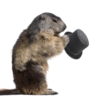 Swimwear Without Hats Beaver Transparent Background PNG images