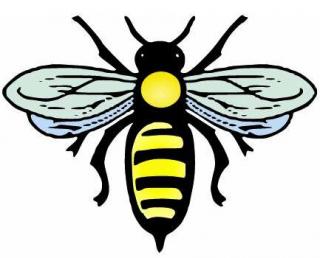 Bee Png Vector PNG images