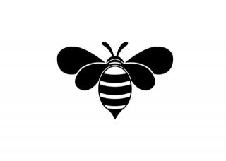 Bee Free Svg PNG images