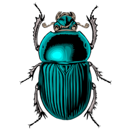Icon Beetle Download PNG images