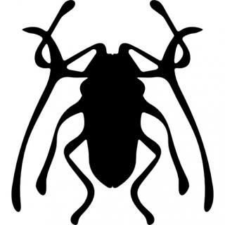 Icon Beetle Pictures PNG images