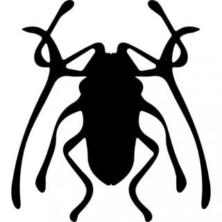 Icon Beetle Pictures PNG images