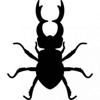 Vector Beetle Free PNG images