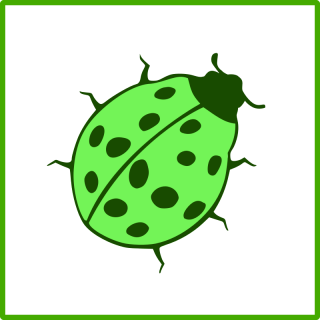 Beetle Icon Png PNG images