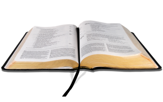 Use These Bible Vector Clipart PNG images