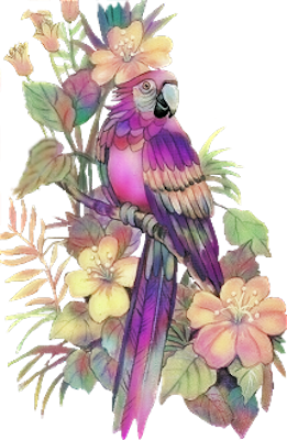 Size Bird Purple Icon PNG images