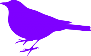 Purple Bird Downloads 77 Recommended 0 PNG images