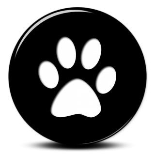 Simple Png Black Cat PNG images