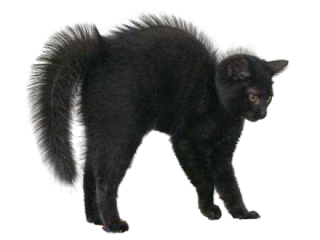 High Resolution Black Cat Png Clipart PNG images