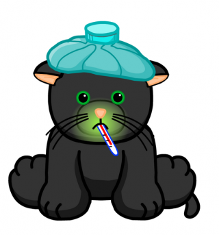 Png Format Images Of Black Cat PNG images