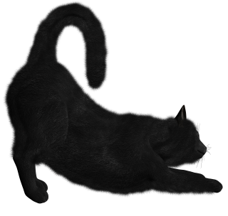 Png Black Cat Collection Clipart PNG images