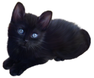 Free Download Of Black Cat Icon Clipart PNG images
