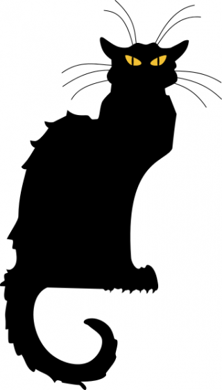 Black Cat Picture Download PNG images