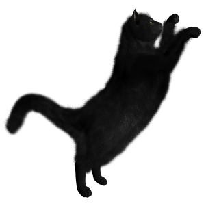 Download Free High-quality Black Cat Png Transparent Images PNG images