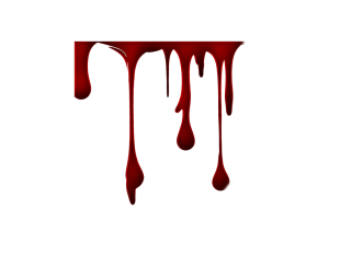 Mugshot Criminal Blood Png, Transparent Png - vhv