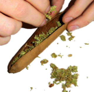 Blunt Png Vector Image PNG images