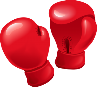 boxing icon png