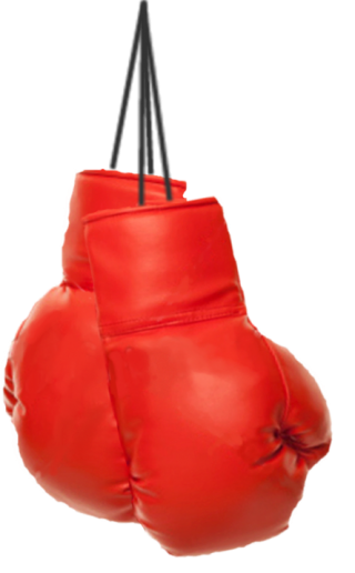 Browse And Download Boxing Png Pictures PNG images