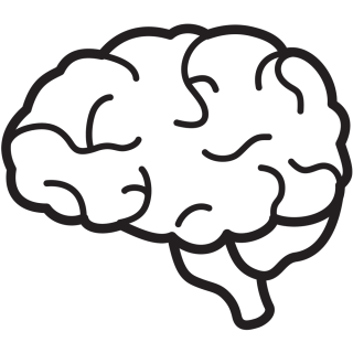 Brain PNG images