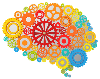 Brain Gears Icon Png PNG images