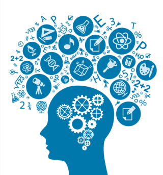 Brain Gears Icon Png PNG images