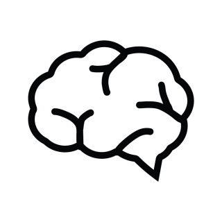 Download Vectors Brain Icon Free PNG images