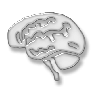 Vector Free Brain PNG images