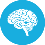 Brain Icon Transparent PNG images