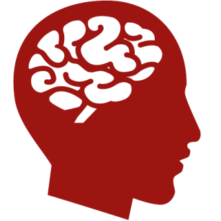 Human Brain PNG images