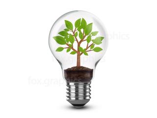 Light Bulb In Tree. Png PNG images