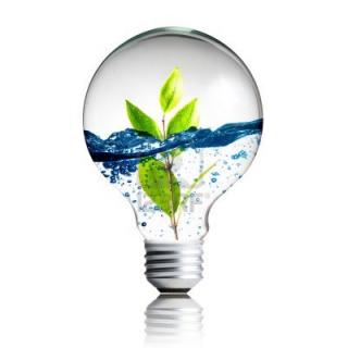 Plant And Water Inside Light Bulb PNG images