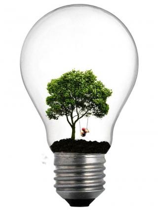 Tree Lightbulb Download New Subject Matter PNG images
